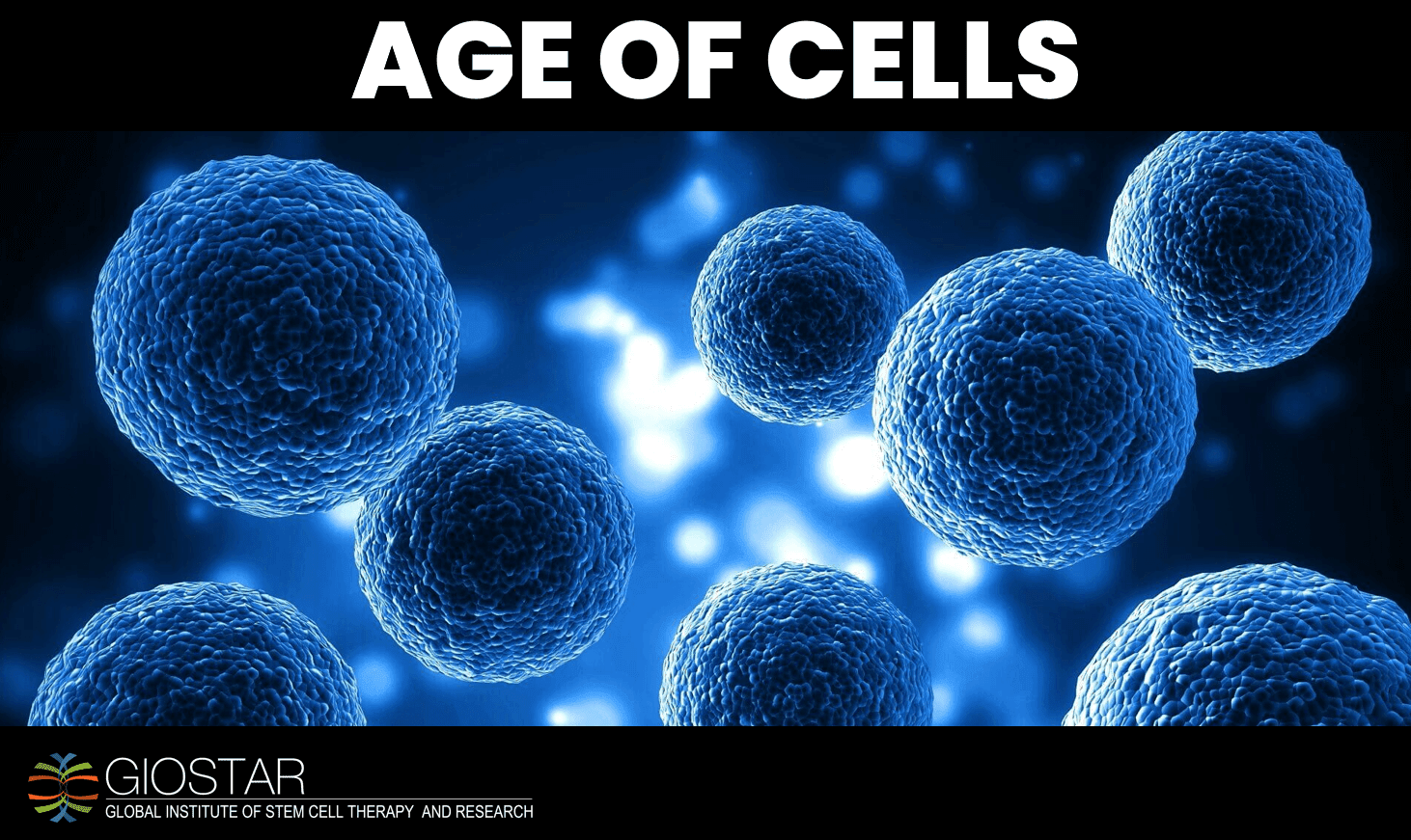 GIOSTAR Mini-Documentary | Age of Cells