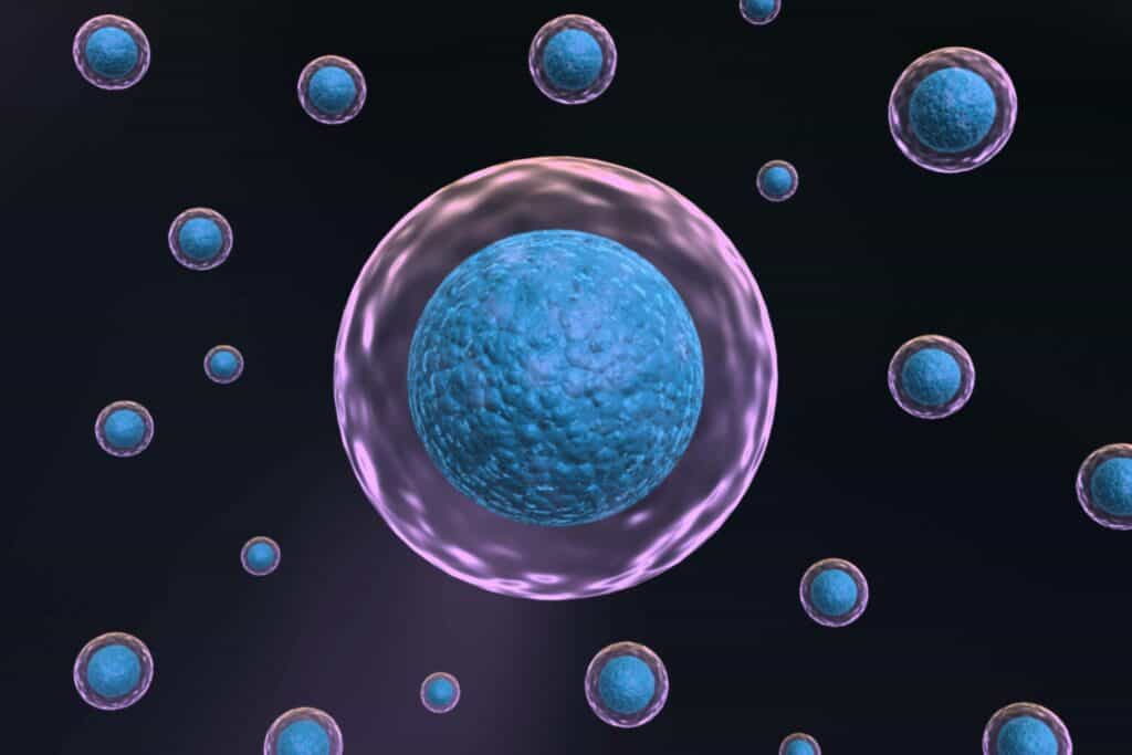 Stem Cell Therapy Clinic in Chicago, IL