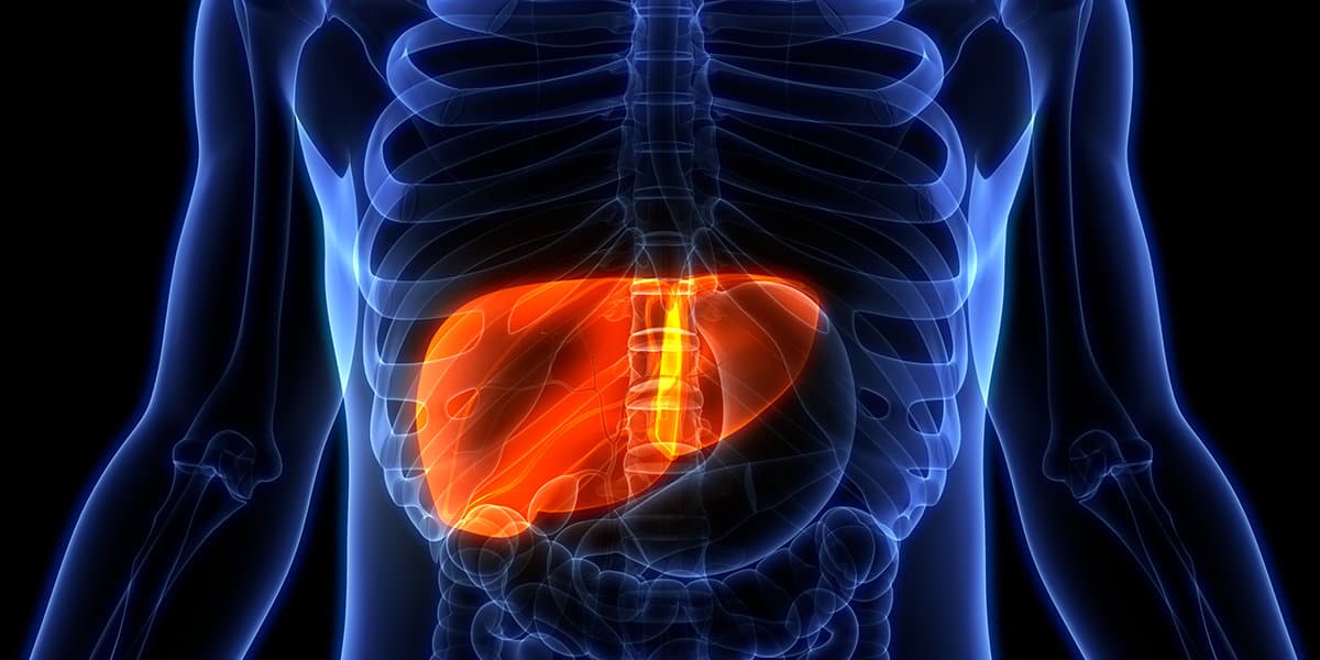 new treatment for fatty liver disease